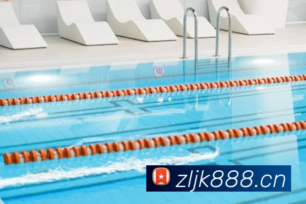 App Interface Preview